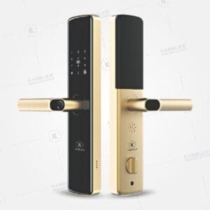 Khóa Điện Tử KASSLER – Mã SP: 678 GOLD APP